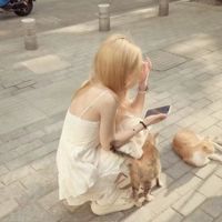 养只折耳小猫Yyc