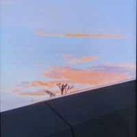 姐姐的溫暖