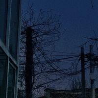 空口接白刃
