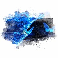 翔霖同人文随笔