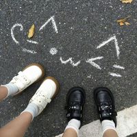 A炸毛兔