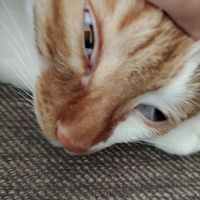 oc的中二小故事