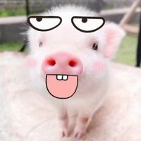 女主男主配脚高gua