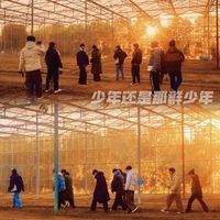 十个勤天X姜淮忆