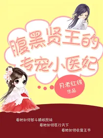 腹黑贤王的专宠小医妃