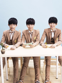 TFBOYS之星空之恋的花语i