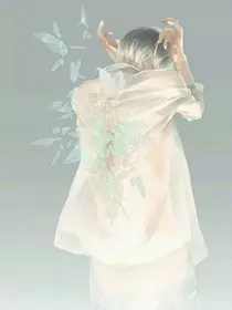 凡到巴黎