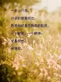 流光读写着我们的青春