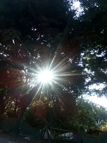 青春不迷茫