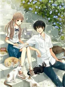 清晨阳光暖暖的