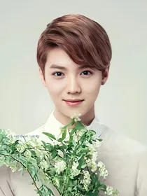 exo鹿晗之迟来的爱