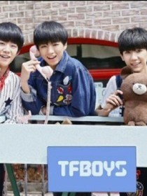 tfboys和小猫咪。