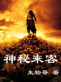 神秘来客