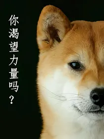 装逼宝典~