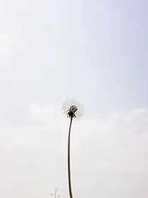 lost.旧容颜