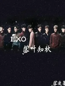 EXO:落叶知秋