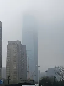 糜烂世界的阳光