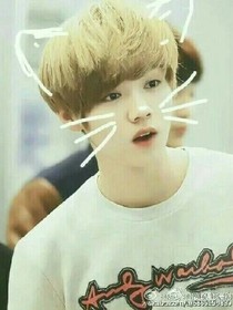 与鹿晗相遇