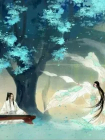 杀手追夫记（杀手乖乖到我碗里来）