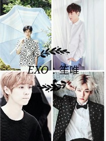 EXO：笙唯——d858