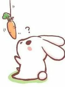 萝卜的幸福生活