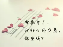 EXO我回来复仇