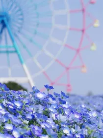 tfboys之复仇冰公主
