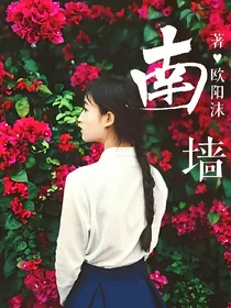 南墙