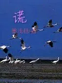 谎