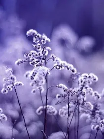 王俊凯之恋爱在盛夏