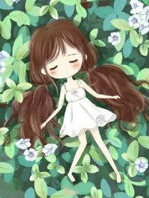图饵