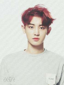 EXO之伪装天后