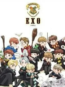 EXO之奇葩公寓