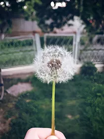 EXO之女配逆袭撩倒白莲花
