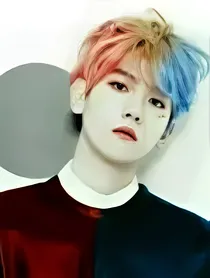 边伯贤之笨蛋特工
