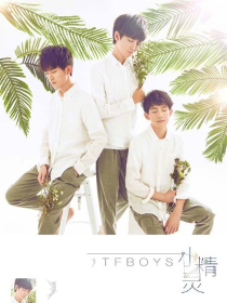 tfboys之永恒的青春