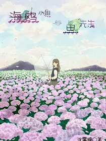 海鸥小姐与鱼先生