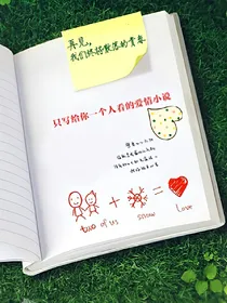 只写给你看的爱情小说