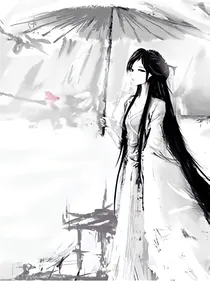 极品王妃的后宫传