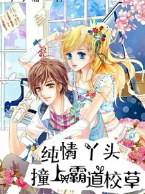 清纯丫头撞上霸道校草