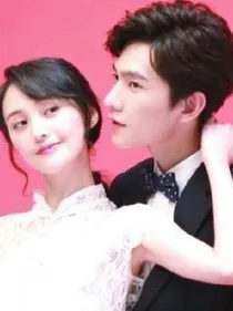 倾城夫妇的爱恋