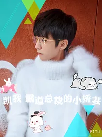 凯我.霸道总裁的娇妻