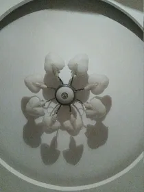 小小人