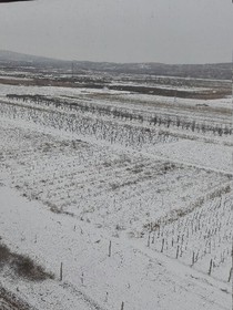 那一场雪，很大很大