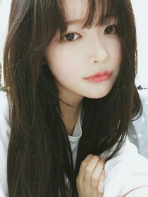 傻兔日常