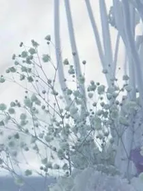 EXO之爱，刻骨铭心