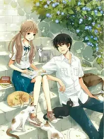 小青梅：竹马校草太受宠