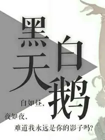 黑白天鹅