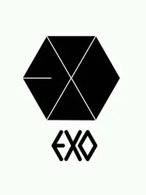 EXO之叛逆才是王道