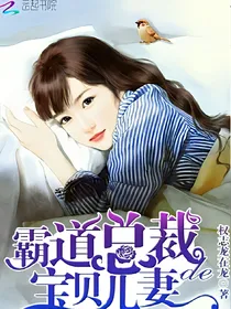 霸道总裁的宝贝儿妻